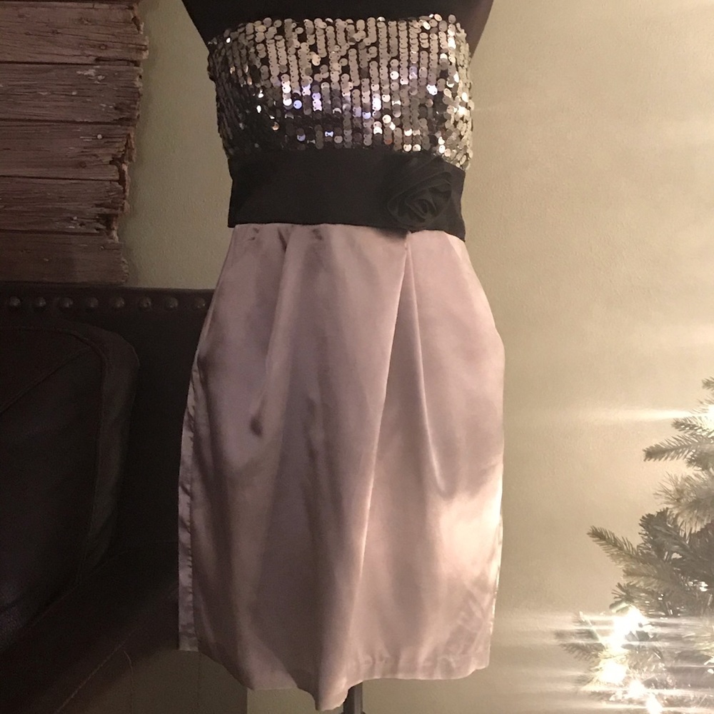 Silver and Black Sequined Dress
